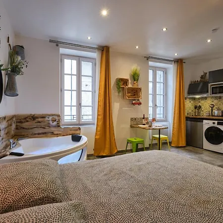 Apartment Place Carnot - Equipe Avec Jacuzzi Proche Toutes Commodites *